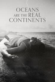 Oceans Are the Real Continents