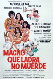 Macho Que Ladra No Muerde