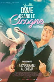 Where Storks Dare