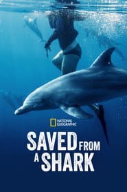 Saved from a Shark
