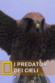 Talons of Terror