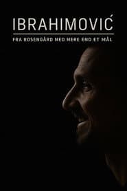 Ibrahimović – From Rosengård with More Than One Goal