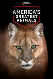 America's Greatest Animals