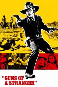 Guns of a Stranger