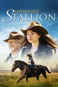 Midnight Stallion