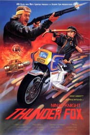 Ninja Knight: Thunder Fox