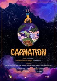 Carnation