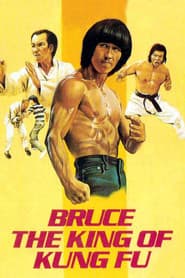 The Legend Of Bruce Lee