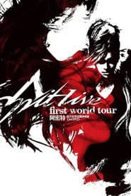 Amit First World Tour Concert Live