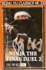 Ninja: The Final Duel II