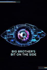 Big Brother's Bit on the Side