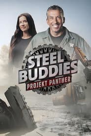 Steel Buddies: Projekt Panther