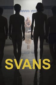 Swans