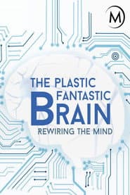 Plastic Fantastic Brain