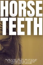 Horse Teeth