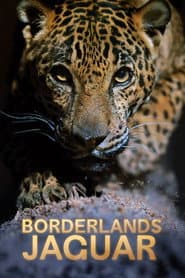 Borderlands Jaguar