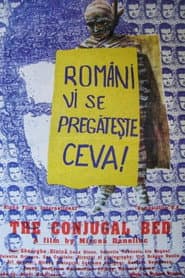 The Conjugal Bed