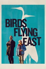 Birds Flying East