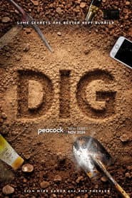 Dig