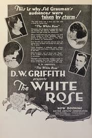 The White Rose