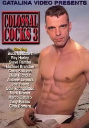 Colossal Cocks 3