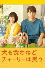 Everything Will Be Owlright!