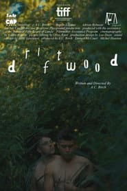Driftwood