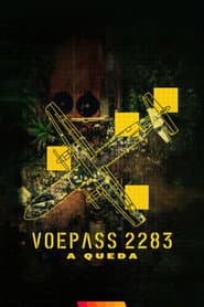 Voepass 2283: A Queda