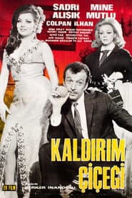 Kaldırım Çiçeği
