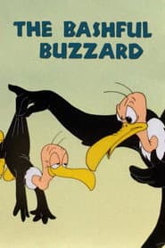 The Bashful Buzzard