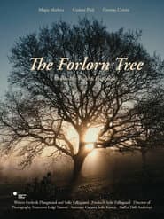 The Forlorn Tree