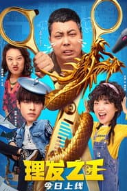 Kung Fu Hairdresser