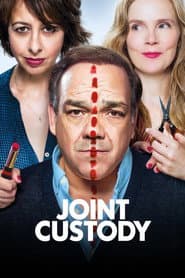 Joint Custody