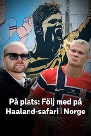 Join the Haaland Safari in Norway