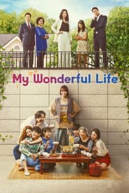 My Wonderful Life
