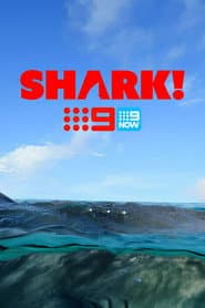 Shark!