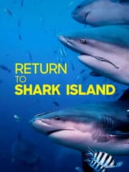 Return to Shark Island