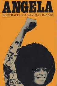 Angela Davis: Portrait of a Revolutionary