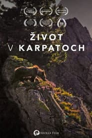 Into the Carpathian Wild