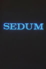The Seven