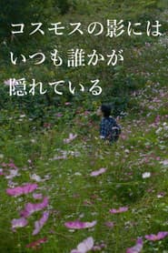 In the Shadow of the Cosmos Flowers