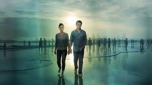 The Affair
