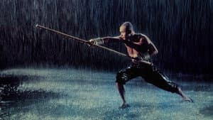 The 36th Chamber of Shaolin