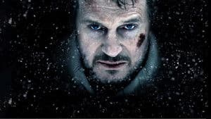 The Grey