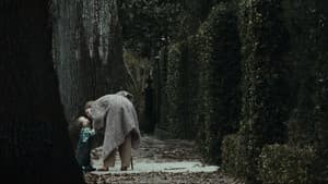 The Curious Birth of Benjamin Button