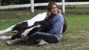 A Sunday Horse