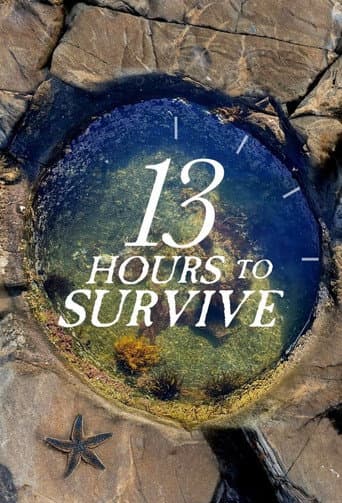 13 Hours To Survive