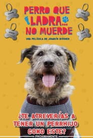 Perro Que Ladra... No Muerde