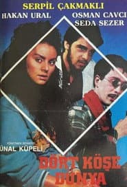 Dört Köşe Dünya