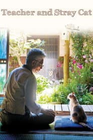 Teacher and Stray Cat